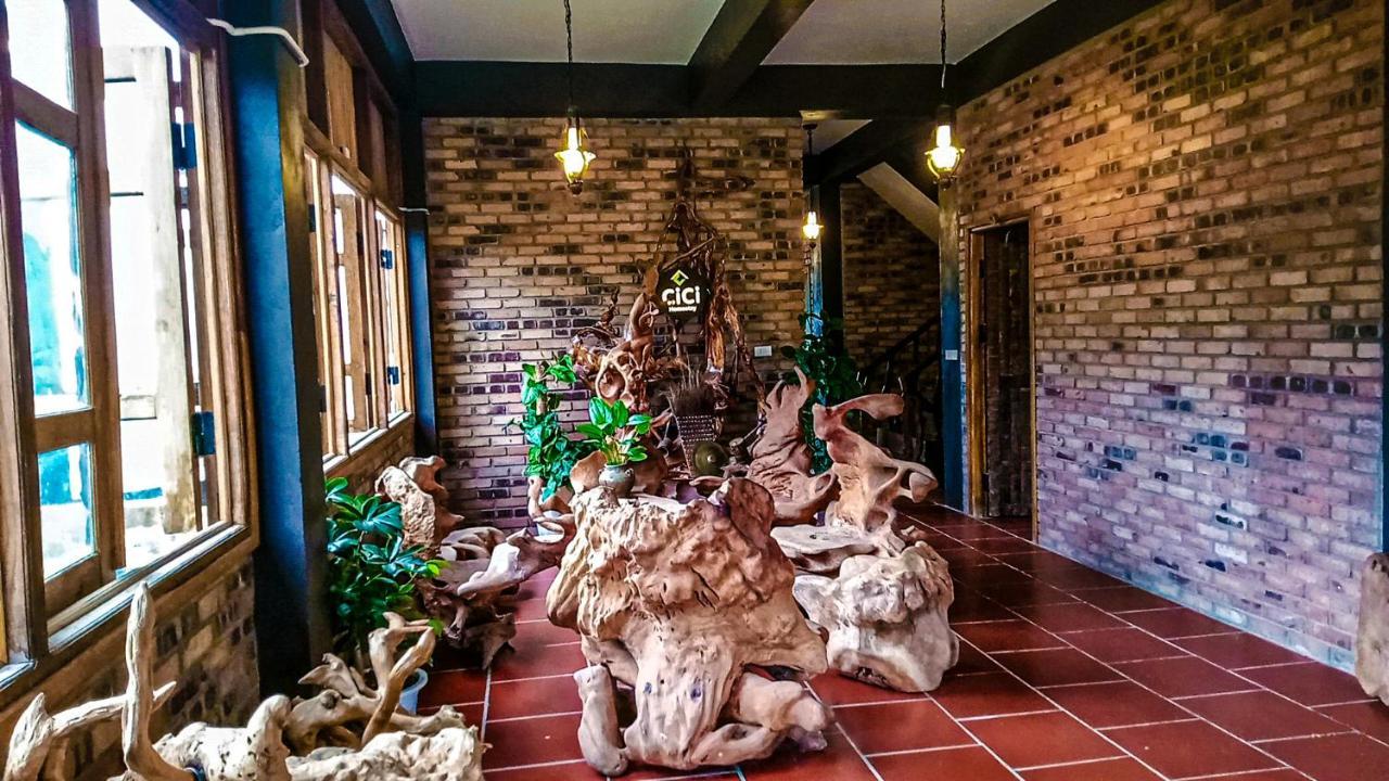 Cici Homestay Dong Van エクステリア 写真